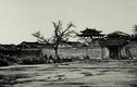 Loạt ảnh hiếm: Ngắm thành Quảng Châu năm 1860